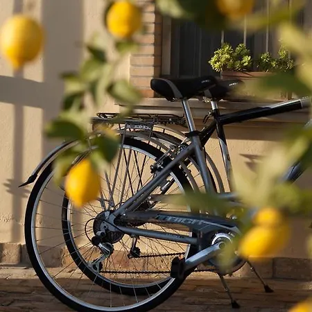 Bed and Breakfast Casone *