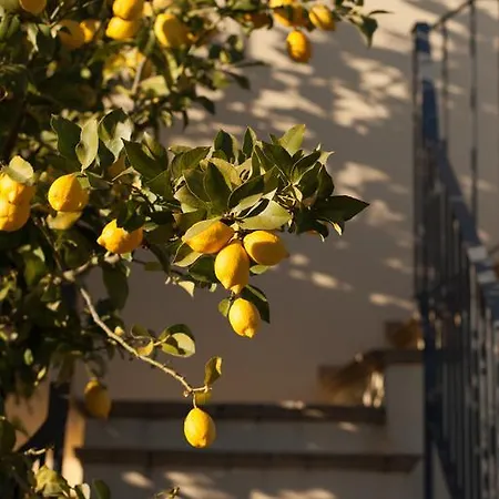 Casone Bed and Breakfast *