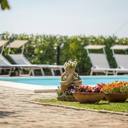 Bed and Breakfast Casone *